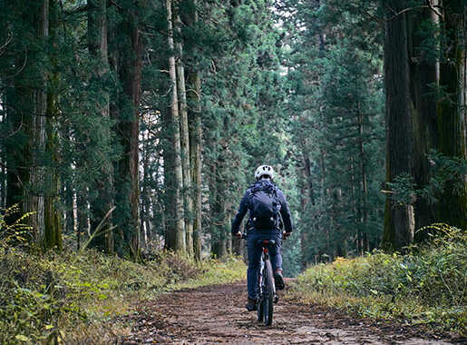 Nikko World Heritage Sites Cycling, Private Tour with Pickup