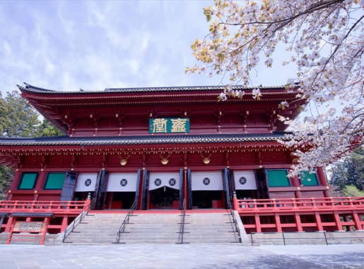 Nikkosan Rinnoji Temple Private Zen Experience
